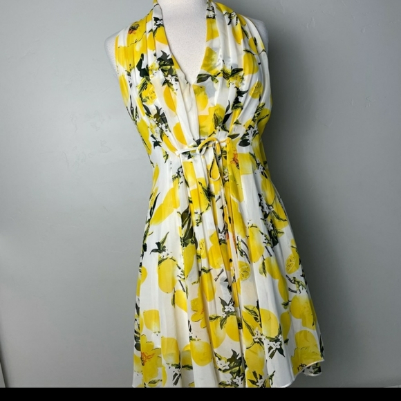 Molly Bracken 🍋 Dress - Picture 3 of 4